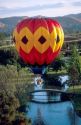 Hot air balloon floating over Ann Morrison Park in Boise, Idaho.