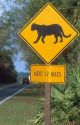 Panther crossing sign in the Florida everglades.