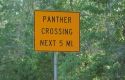 Panther crossing sign on highway 29 on the edge of the Florida everglades.