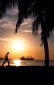 Ships at anchor in Manila Bay at sunset.  Palm trees and a pedestrian are silhouetted on the Philippines harbor.