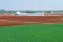 Farmland in South Central Spain.  Spring grain is green with freshly tilled land awaiting planting.