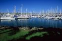 Sailboats docked in the Shelter Island marina in San Diego Harbor, California.