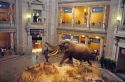 The Natural History Museum at the Smithsonian Institution in Washington D.C.