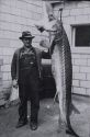 Historic  photograph of a man standing next to a nine foot long sturgeon he caught in the Snake River of Idaho.