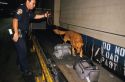 An officer using a police dog for customs inspection.