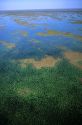 Aerial view of the Florida Everglades.