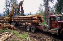 A logging truck being loaded in the Idaho mountains.