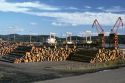 Logs awaiting export to Japan at Aberdeen, Washington.
