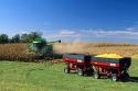 Corn harvest in Southeast Iowa.