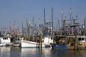 Fishing boat harbor and marina with shrimp boats at Pass Christian, Mississippi.