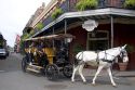 Mule drawn carriage in the French Quarter of New Orleans, Louisiana.
