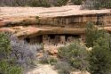 Cliff dwellings in Mesa Verde, Colorado.