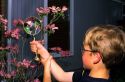A young boy looks at the blossoms on a dogwood tree through a magnifying glass in Boise, Idaho.