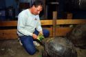 A zookeeper feeds lettuce to a tortise at the zoo in Boise, Idaho.