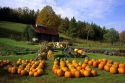 Pumpkins and squash at a produce stand in Waits River, Vermont.