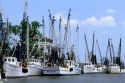A fleet of shrimp boats in Darien, Georgia.