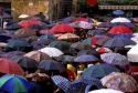 A crowd of people using umbrellas at a festival in Camogli, Italy.