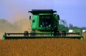 Soybean harvest in Indiana.