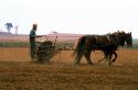 Amish farmer using a horse drawn seed planter in Lancaster County, Pennsylvania.