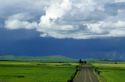 Northern Idaho farmland with clouds and dark sky. Green fields of wheat along a country road.