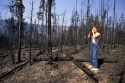 A tourist takes photographs of the aftermath of a forest fire in Yellowstone National Park, Wyoming, 1988.