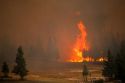 Fire in Yellowstone National Park, Wyoming consumes the lodgepole forests during the historic 1988 blaze.