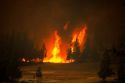 Fire in Yellowstone National Park, Wyoming consumes the lodgepole forests during the historic 1988 blaze.