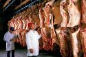 Meat inspectors looking at sides of beef in a meat packing plant.