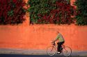 A man riding a bicycle along Paseo De Cristobal Colon in Seville, Spain.