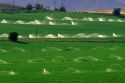 Sprinkler irrigation on an alfalfa field near Glenns Ferry, Idaho.