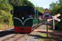 Green Train of The Jungle at Iguazu, Argentina.