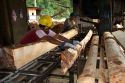 Sawyer cutting logs at a lumber mill in Argentina.