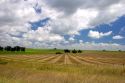Farmland and clouds near Tamil, Argentina.