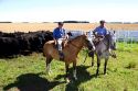 Gaucho cowboys on horseback near Neccochea, Argentina.