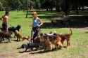 Dog walkers at the park in the Palermo area of Buenos Aires, Argentina.