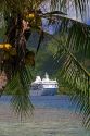 A coconut palm tree frames a view of the Paul Gaugin cruise ship anchored at Opunohu Bay on the island of Moorea.