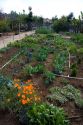 A garden with vegetables and flowers growing in Old Town, San Diego, California.