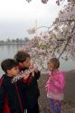 Children smelling cherry blossoms near the Jefferson Memorial and Tidal Basin in Washington, D.C.