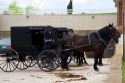 Amish horse and buggy in a parking lot at Berlin, Ohio.