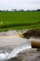 Water flowing from an irrigation pipe into a rice field in the delta region of east central Arkansas.