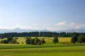 Austrian Alps and green fields near Weilheim in Sounthern Germany.