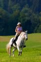 Rider on horseback near Zurich, Switzerland.