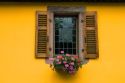 Shuttered window with etched glass and flower box at Thannenkirch, France.