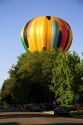 Hot air balloon landing in Boise, Idaho.
