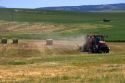 Farmer baling wheat hay near Idaho Falls, Idaho.