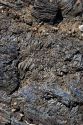 Close up view of lava rock at Craters of The Moon National Monument in Idaho.