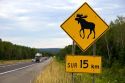 Moose crossing road sign along highway 189 in South East Quebec, Canada.