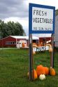 A farm selling fresh vegetables near Mansfield, Indiana.