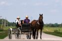 Amish boys travel by horse and carriage west of Bloomfield, Iowa.
