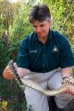 A wildlife biologist handling a snake at the Missouri Department of Conservation in Jefferson City.